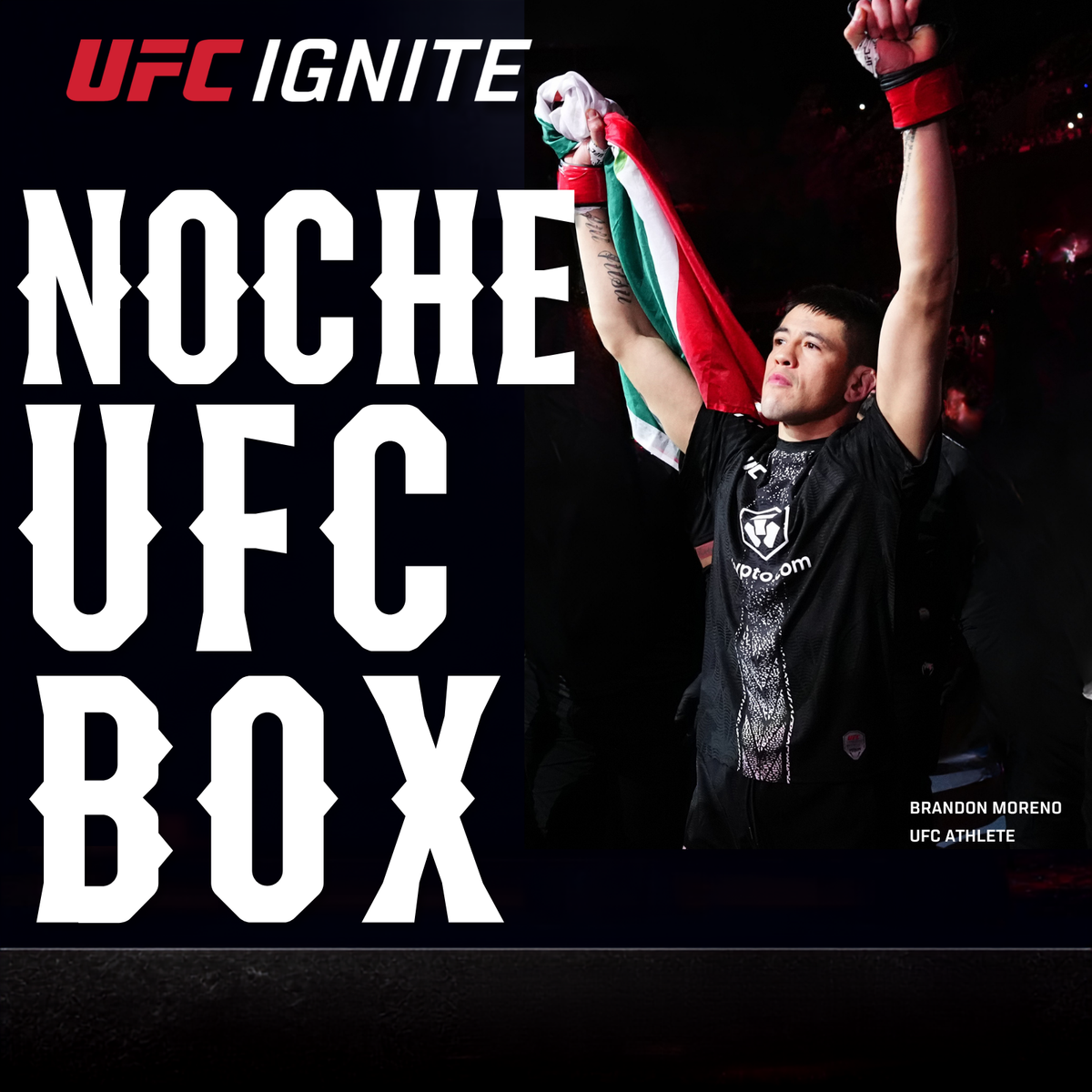 UFC Ignite Noche UFC Box: Ranchero Chicken and Rice, Chicken Tacos with Brown Rice, Chipotle Chicken Bowl and Tomatillo Chicken Sausage Skillet meals on a serape blanket