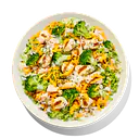 Chicken Broccoli Casserole with Rice - Master